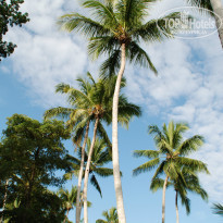 фото из отзыва ID 653951