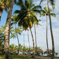 фото из отзыва ID 653951