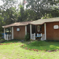 фото из отзыва ID 653332