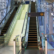 фото из отзыва ID 653070