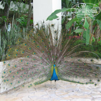 фото из отзыва ID 653327