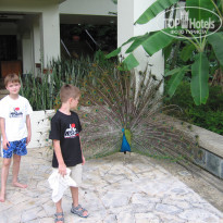 фото из отзыва ID 653327