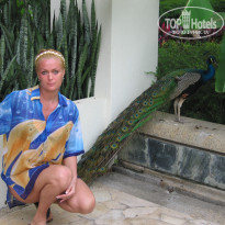 фото из отзыва ID 653327