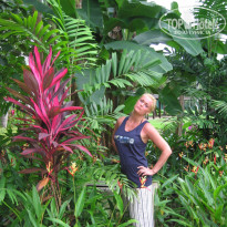 фото из отзыва ID 653327