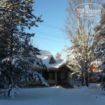 фото из отзыва ID 653504