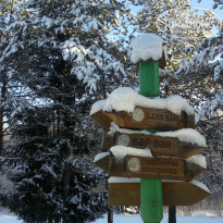 фото из отзыва ID 653504