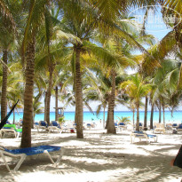 фото из отзыва ID 653515