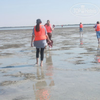 фото из отзыва ID 653569