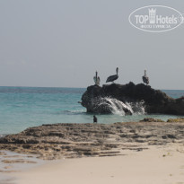 фото из отзыва ID 653608