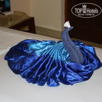 фото из отзыва ID 653850