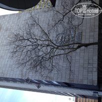 фото из отзыва ID 653691