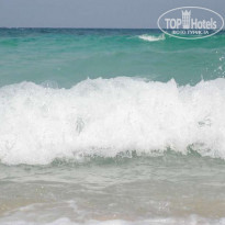 фото из отзыва ID 65414