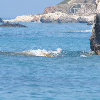 фото из отзыва ID 654055