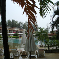 фото из отзыва ID 654071