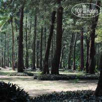 фото из отзыва ID 654170