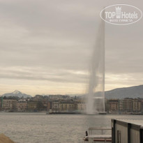 фото из отзыва ID 654214