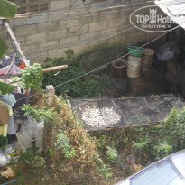 фото из отзыва ID 654223