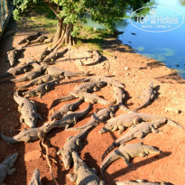 фото из отзыва ID 654324