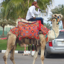 фото из отзыва ID 654386