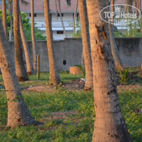 фото из отзыва ID 654391