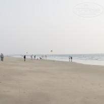 фото из отзыва ID 654473