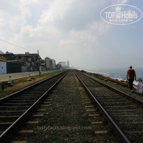 фото из отзыва ID 654496