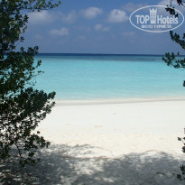 фото из отзыва ID 654556