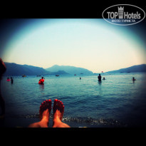 фото из отзыва ID 654562