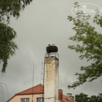 фото из отзыва ID 654695