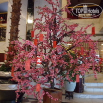 фото из отзыва ID 654793