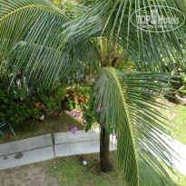 фото из отзыва ID 654797