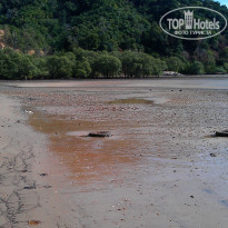 фото из отзыва ID 654882