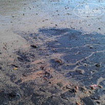 фото из отзыва ID 654882