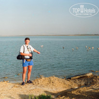 фото из отзыва ID 655941