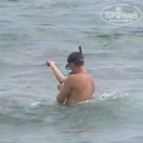 фото из отзыва ID 655941