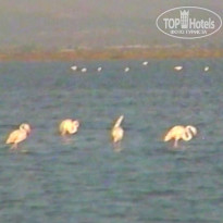 фото из отзыва ID 655941