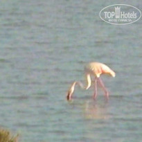 фото из отзыва ID 655941