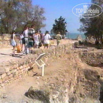 фото из отзыва ID 655941