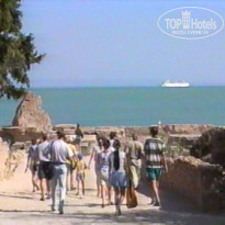 фото из отзыва ID 655941