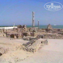 фото из отзыва ID 655941