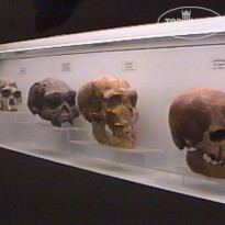 фото из отзыва ID 655941