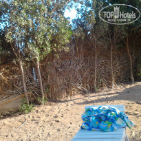 фото из отзыва ID 655058