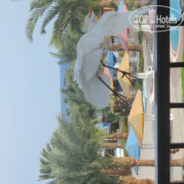 фото из отзыва ID 655134