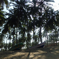 фото из отзыва ID 655349