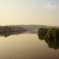 фото из отзыва ID 655425