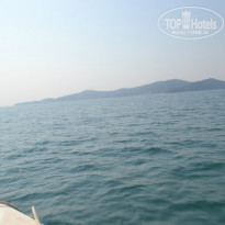 фото из отзыва ID 655548