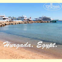 фото из отзыва ID 655714