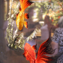 фото из отзыва ID 655852