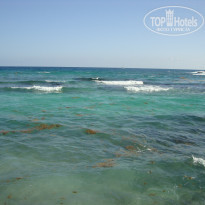 фото из отзыва ID 655856