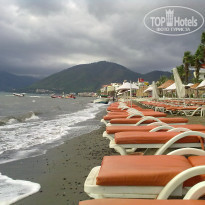 фото из отзыва ID 655891